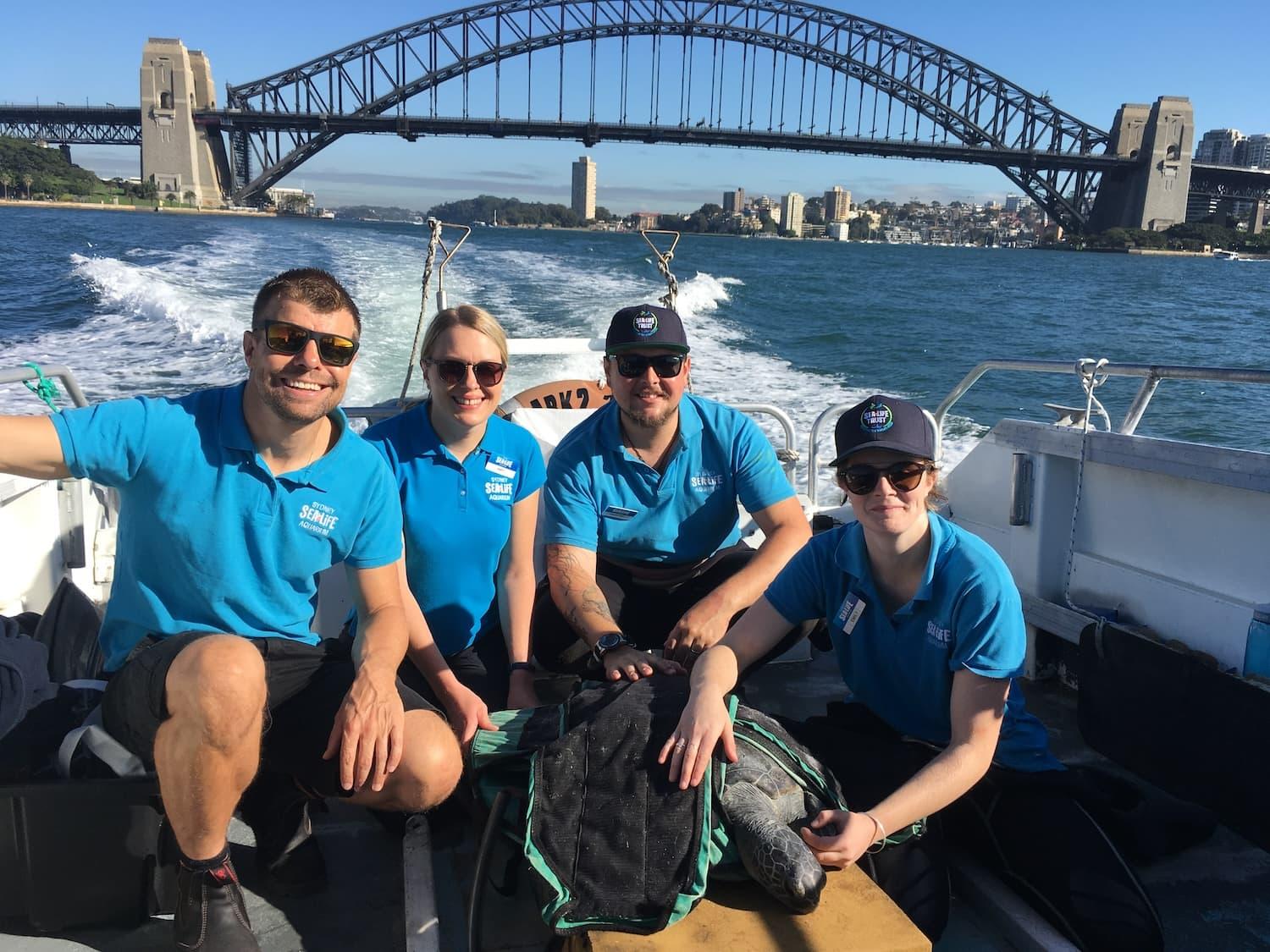 Four people wearing blue polo shirts on a boat driving down a river with a bridge in the background. Infront of them there is a turtle with a cover ontop of it.